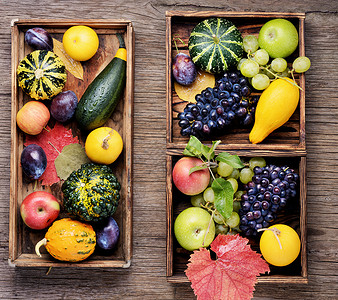 美丽的秋收蔬菜静物饮食浆果李子收获乡村收成葫芦托盘背景图片
