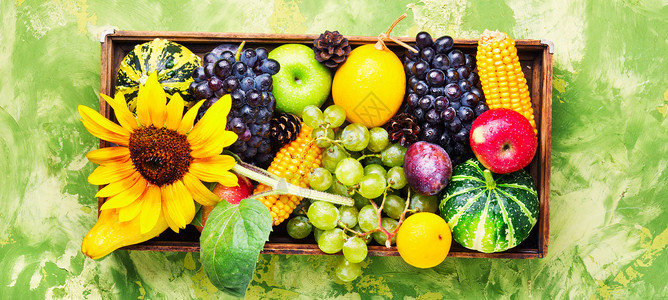 美丽的秋收托盘收藏食物浆果季节收获壁球葫芦李子篮子背景图片