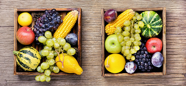 美丽的秋收乡村壁球收藏李子葫芦蔬菜盒子饮食水果玉米背景图片