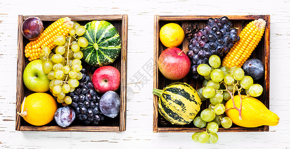 美丽的秋收收藏李子时间食物葫芦季节托盘水果蔬菜浆果背景图片
