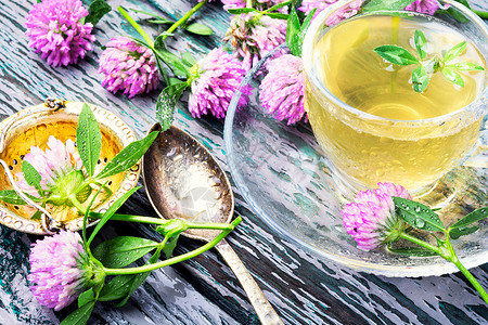 夏季草药茶 配有三叶花康复乡村花瓣三叶草治疗杯子卫生叶子饮料保健背景图片