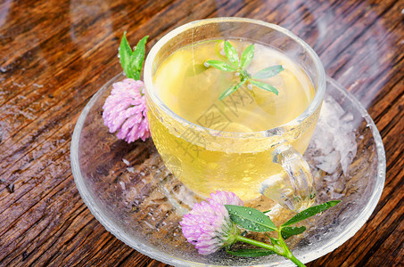 夏季草药茶 配有三叶花保健植物药品三叶草叶子芳香卫生野花治疗排毒背景图片