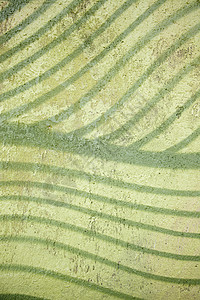 带曲线的绿墙结构装饰水泥墙纸城市彩绘立面涂鸦线条艺术背景图片