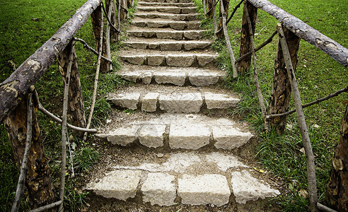 制作楼梯绿色森林中的旧楼梯途径植物小路花园人行道自然踪迹树木丛林木头背景