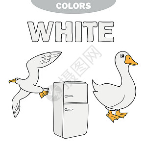 白额燕鸥- 白人学习颜色 孩子们在学习颜色 工作表插画