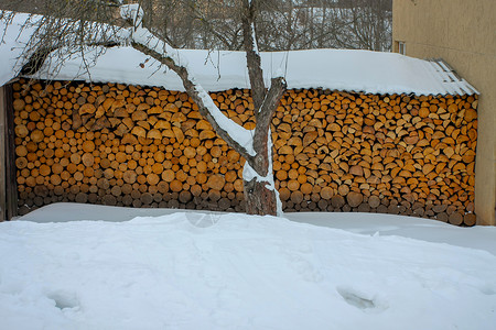 雪木材堆叠的木柴材料林业圆圈木材树干燃料硬木活力日志环境背景