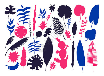 向量集的手绘明亮的热带植物花序树叶叶子植物群绘画插图背景图片