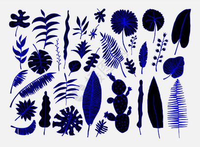 向量集的手绘明亮的热带植物叶子树叶花序绘画植物群插图背景图片