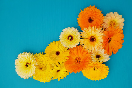 蓝色黄色和橙黄色星云的花朵安排背景图片