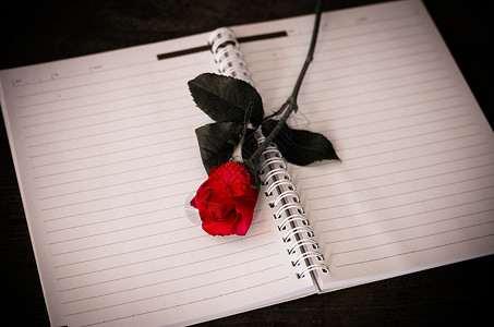 笔记本上的红玫瑰时间邮政玫瑰鹅毛笔礼物乡愁记忆卡片邮资静物背景图片