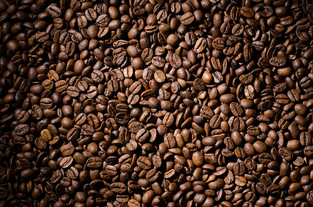 咖啡豆品种豆子棕色味道饮料咖啡咖啡味烘焙背景图片
