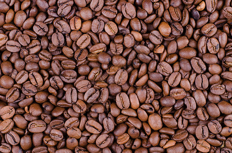 咖啡豆品种咖啡味棕色烘焙味道饮料咖啡豆子背景图片