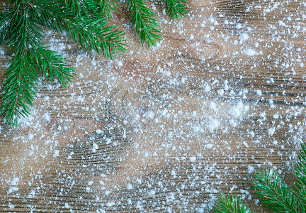 冬季有雪的木林空间上的绿色圣诞树枝b背景图片