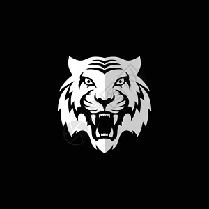 令人生畏的老虎正面图主题标志模板狮子荒野白色标识丛林动物威吓艺术牙齿背景图片