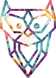 多彩主题猫头鹰比尔彩虹身体钻石艺术背景图片