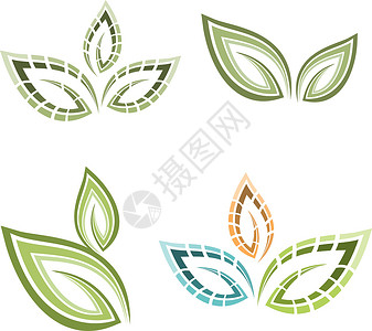 自然标志叶 Se标识植物插图生态环境绿色生物背景图片