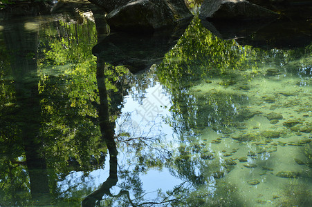 抽象的树天石倒映在水面的波纹透过清澈的水你可以看到桥底反射日落树叶阴影蓝色分支机构植物支撑环境森林背景图片