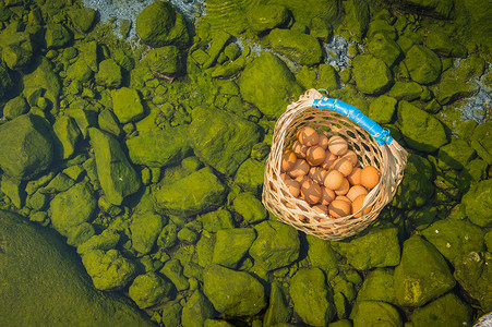 温泉煮鸡蛋 在泰国出差旅行池塘食物世界岩石公园温泉篮子木头活动蒸汽背景