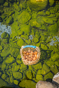 温泉煮鸡蛋 在泰国出差旅行温泉蒸汽商业石头公园食物卫生活动篮子木头背景