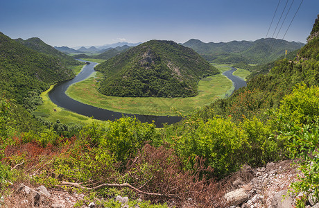黑山的Crnojevica河弯道曲线森林睡莲植物主流全景假期旅游树叶公园背景图片
