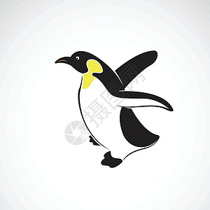 白色背景下的企鹅设计矢量 极地动物 乙背景图片