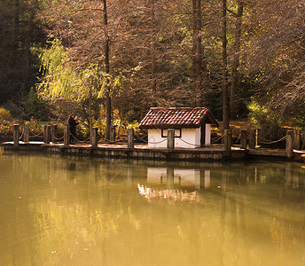 以简单样式制作的小小屋小屋乡村日志森林庇护所旅行建筑国家住宅房子背景图片