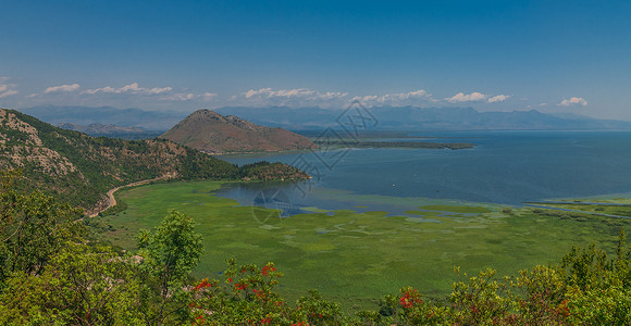 Skadar湖和黑山的Crnojevica河曲线爬坡观光旅行假期树叶主流植物蓝色公园背景图片