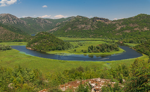 Skadar湖和黑山的Crnojevica河森林公园全景植物观光树叶蓝色主流曲线旅游背景图片