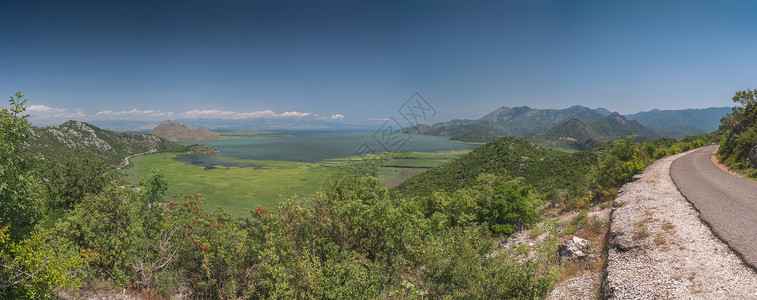 Skadar湖和黑山的Crnojevica河树叶全景旅游旅行蓝色森林观光主流国家爬坡背景图片