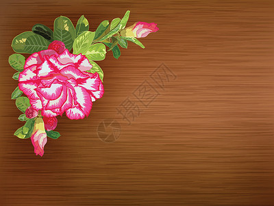 腺苷用沙漠玫瑰装饰的纹理标签插画