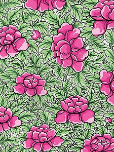 花植物玫瑰年度粉色花瓣玫瑰花生长艺术棉布插图高清图片
