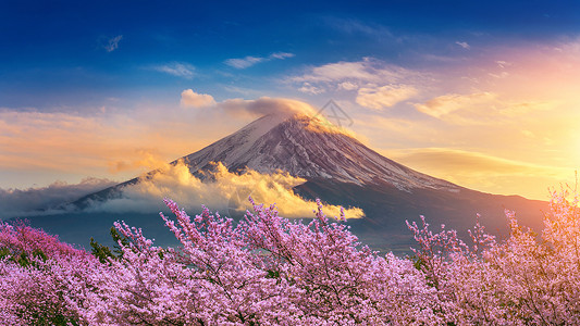 火山山日本春天的藤山和樱花盛开观光旅行天际蓝色地标公吨节日季节天空游客背景