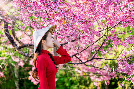 越南帽子花的傣族高清图片