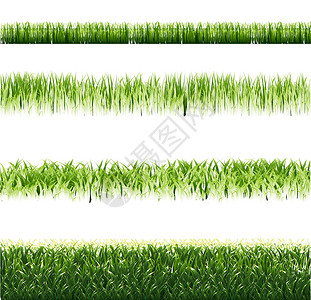 边框美化素材绿草边框设置隔离背景插画