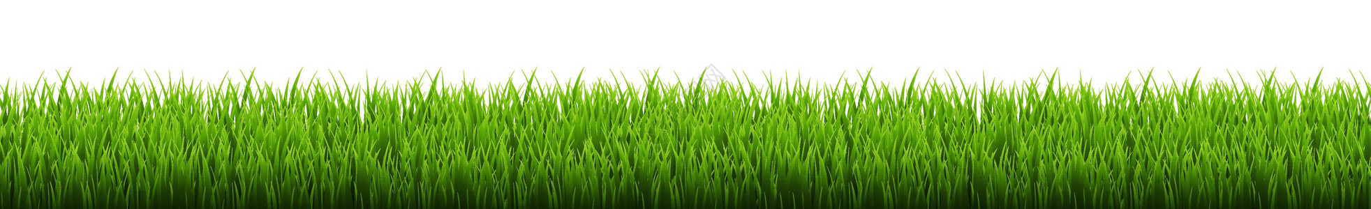 草边框白色背景公园环境插图宏观草地园艺叶子场地土地足球背景图片