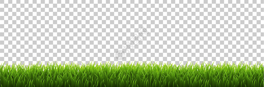 草边框透明背景卡片草原草地黄蜂季节美化植物群绘画树叶框架背景图片