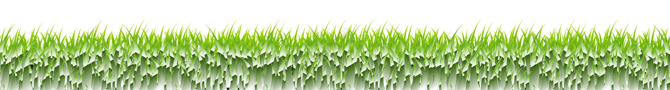 草边框白色背景收藏草地框架美化季节树叶叶子土地绘画草原背景图片