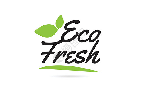 书面排版用于排版徽标的绿叶 Eco Fresh 手写文字文本设计图片