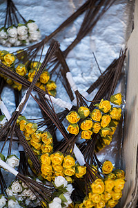 假人造花朵塑料植物回收叶子黄色背景图片