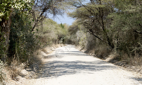 博茨瓦纳沙沙路背景图片