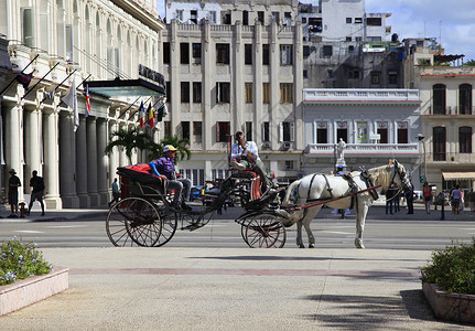 社会史马和马在哈瓦那街头的街道上假期城市文具旅游黄包车目的地气候城市生活三轮车出租车背景