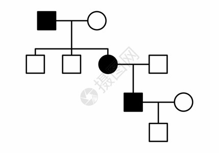 家谱树简单家庭图表图插图插画