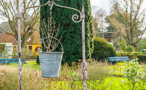 老铁稳住古老花园装饰品 金属桶作为花盆 户外公园 自然景观背景背景
