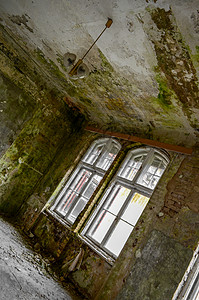 奥尔特雷克弗罗雷纳奥尔特勃兰登堡树木森林历史大厅窗户植物木头公园石头叶子背景