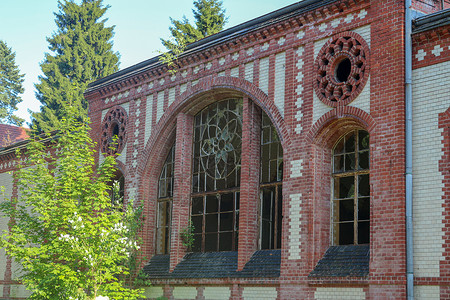 ttten失落地的废墟植物历史房子大厅建筑学建筑疗养院叶子窗户树木背景图片