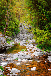 罗多波山脉的山河生态岩石石头三角山沟环境地标峡谷旅行自然环境背景图片