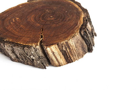 砍伐的树切片 木材纹理 孤立在惠特林业树干材料森林日志树桩木头松树工人叶子背景图片