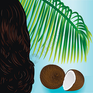 椰子尾巴椰子热带坚果果树叶和美容少女头发棕榈奢华叶子微光卡通片理发可可理发师闪光尾巴插画