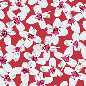 红色无缝背景上的白色花朵背景图片