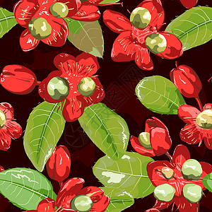 无缝背景上的红色花墙纸植物花瓣插图艺术背景图片